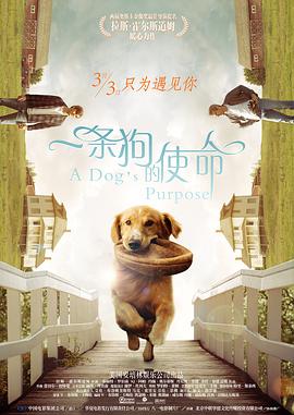 国产精品视频一区二区三区