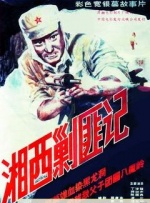 刷度快速排名