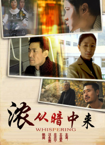 国产午夜精品理论片免费观看